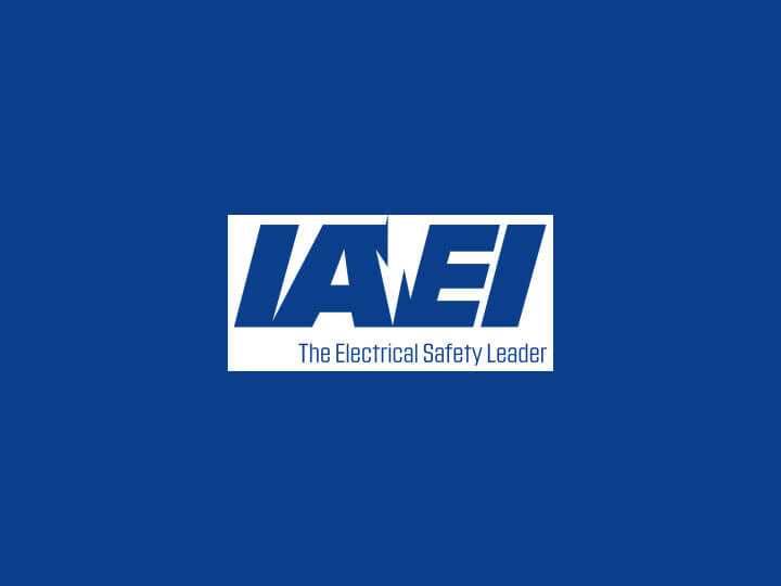 IAEI Southern Section Meeting
